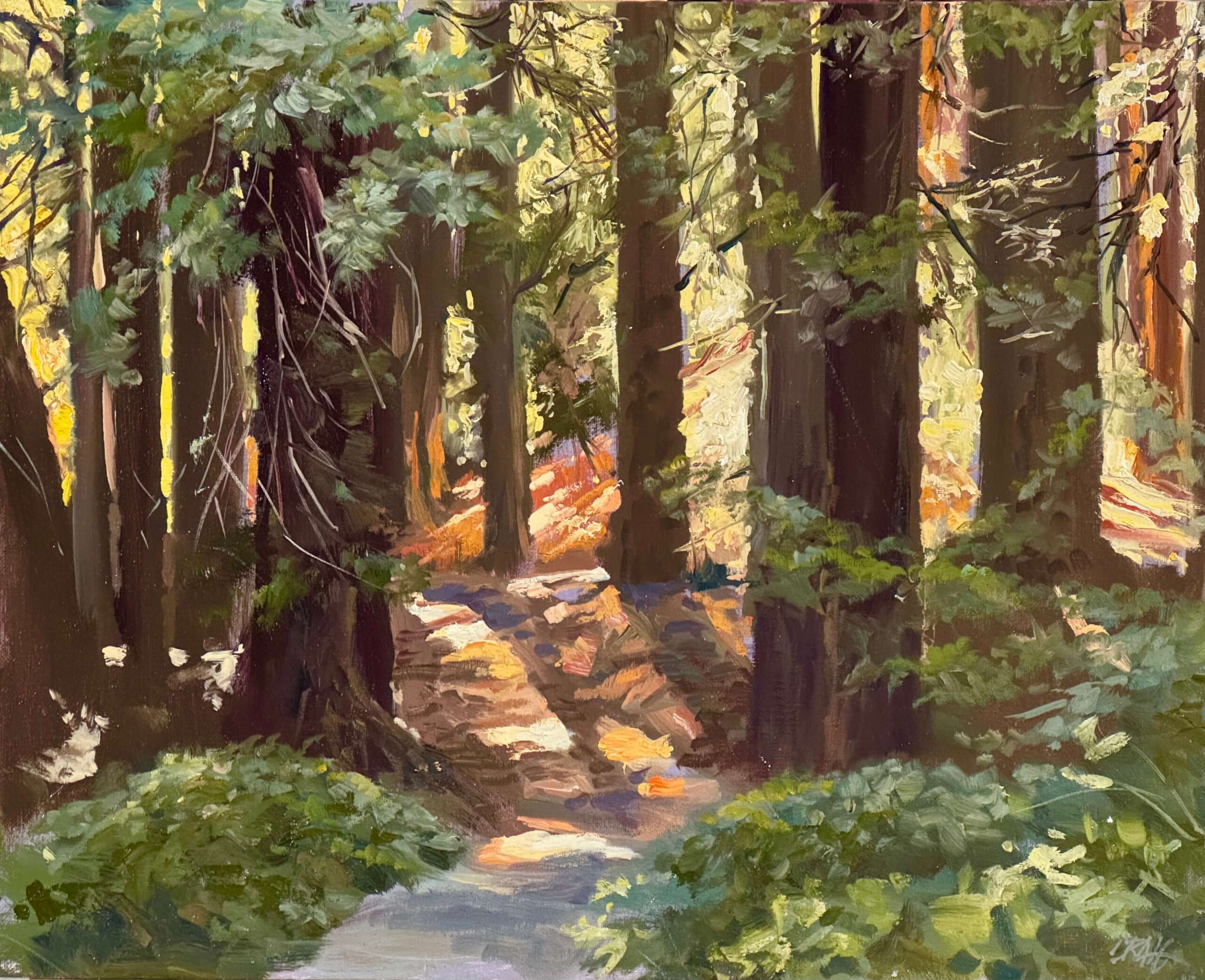 Among the Redwoods