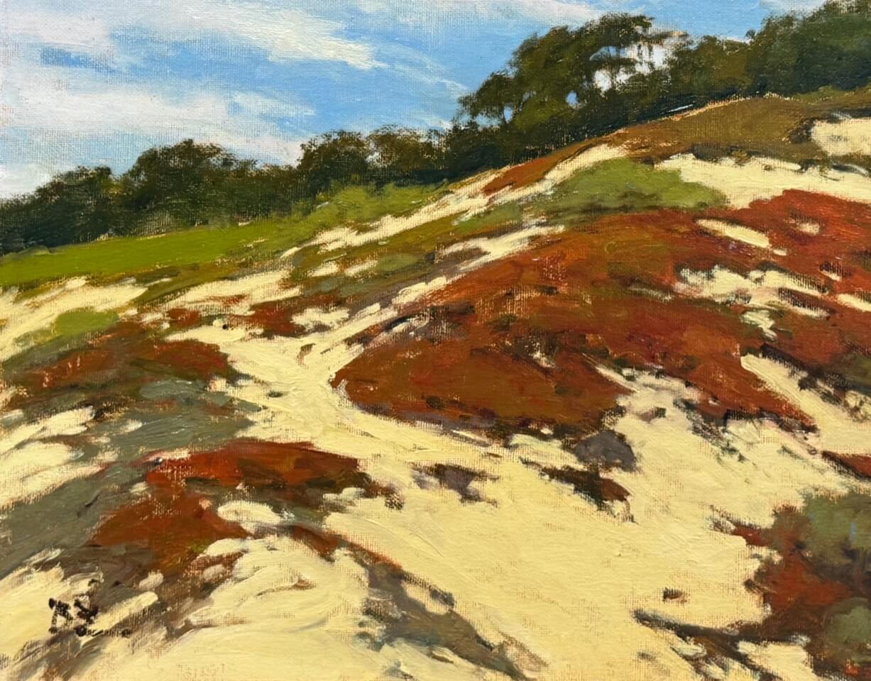 Dunes at Signal Hill