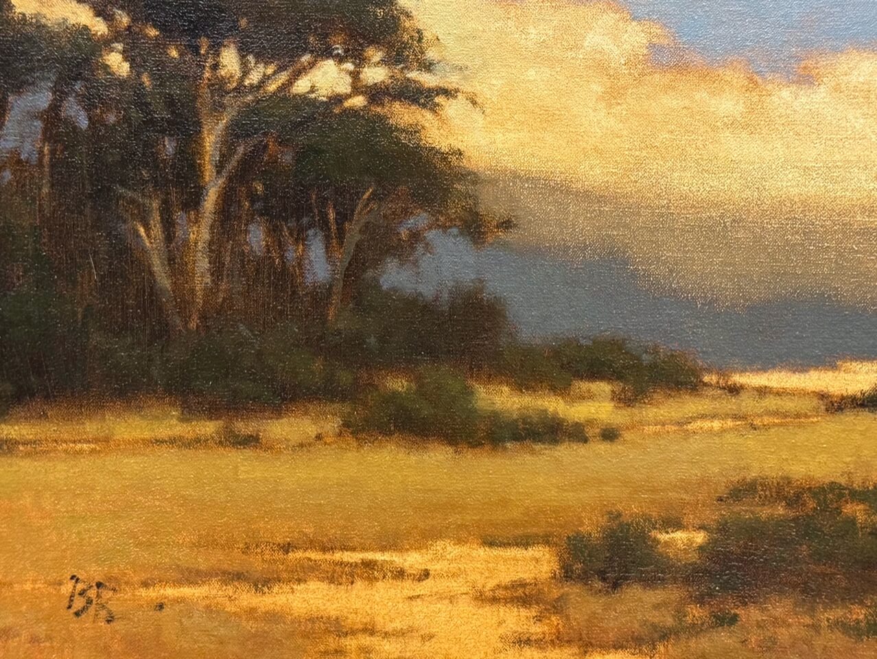 Meadow at Pt Lobos