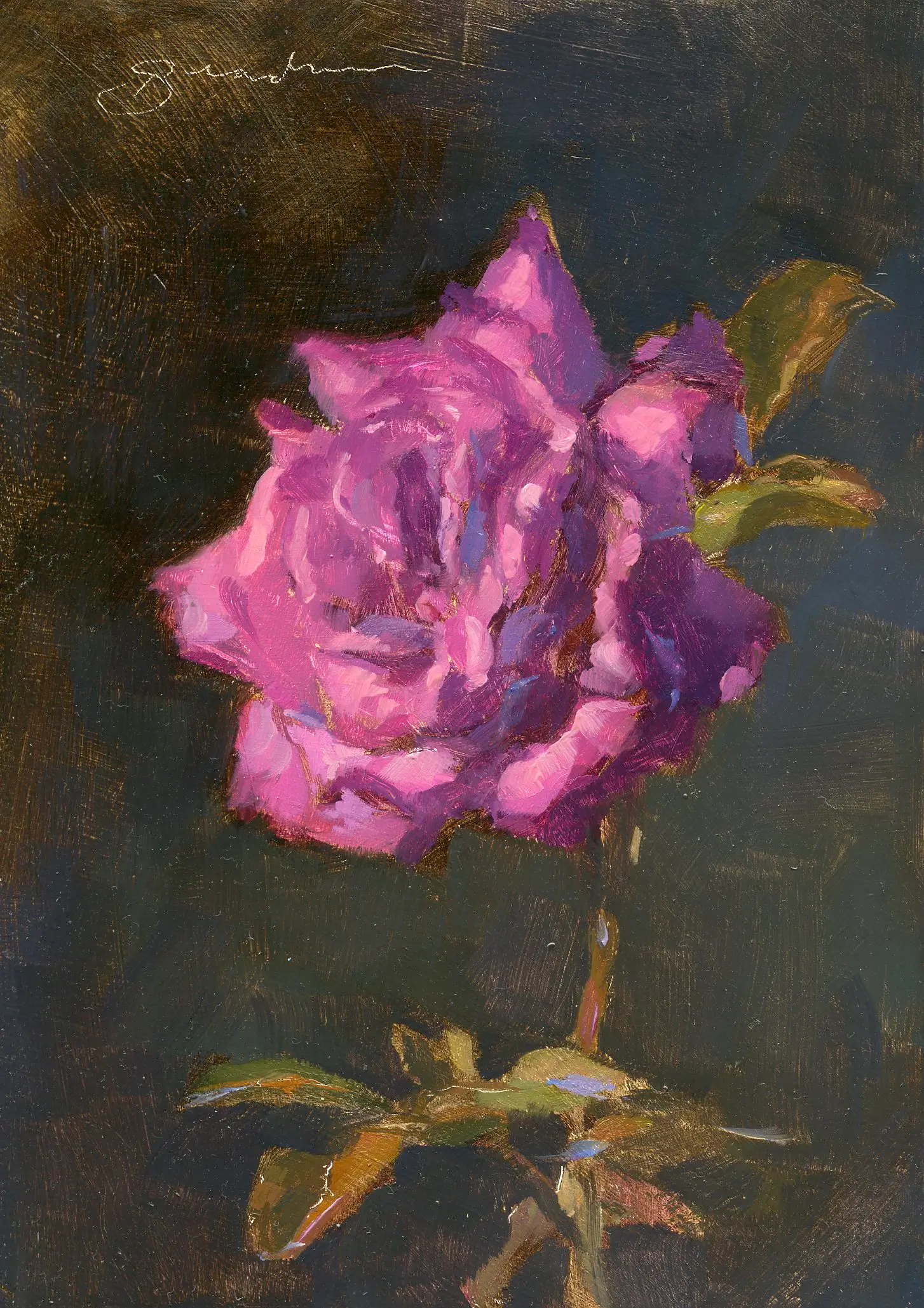 Rose Study