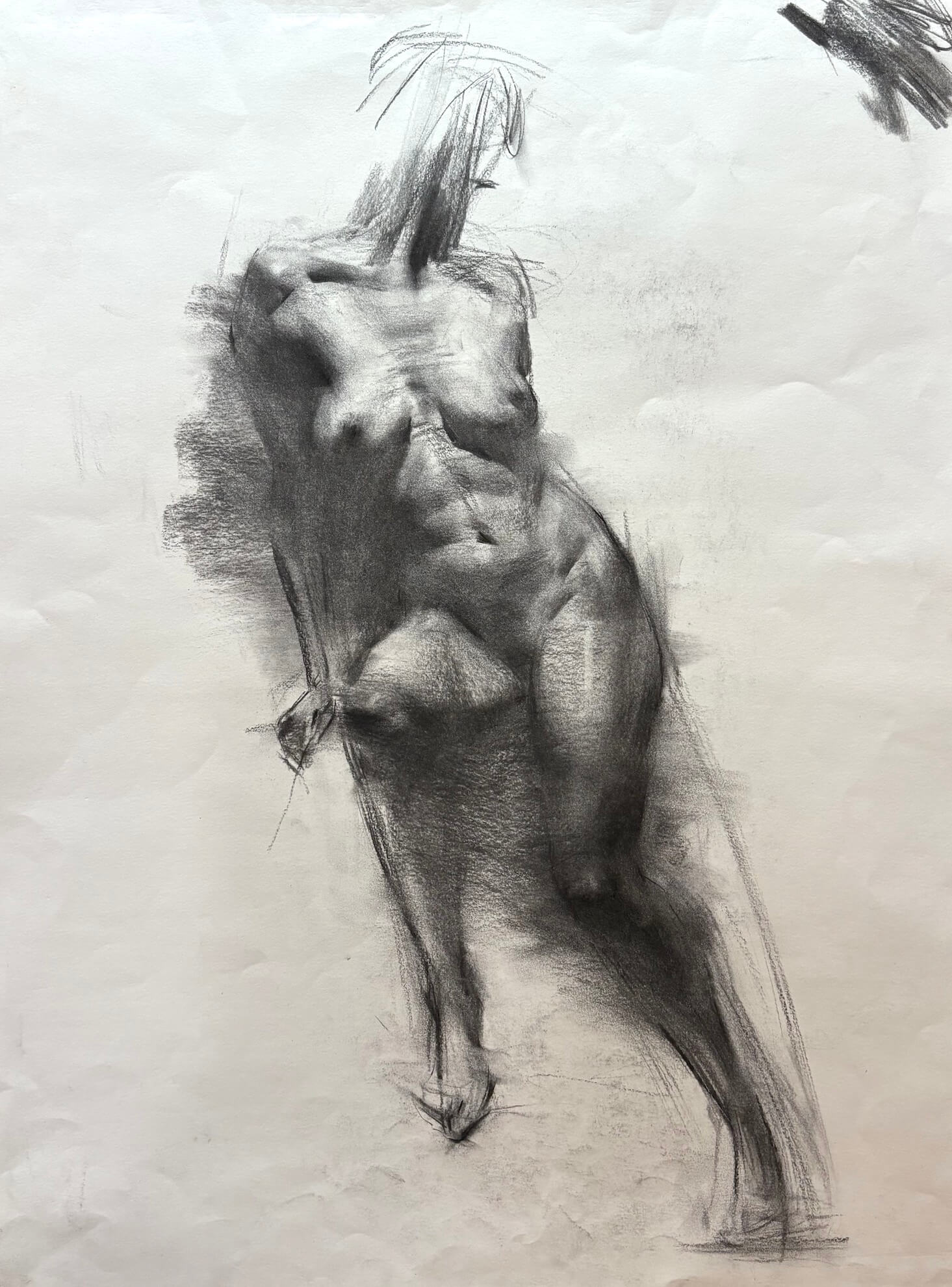Gesture and Torso Study
