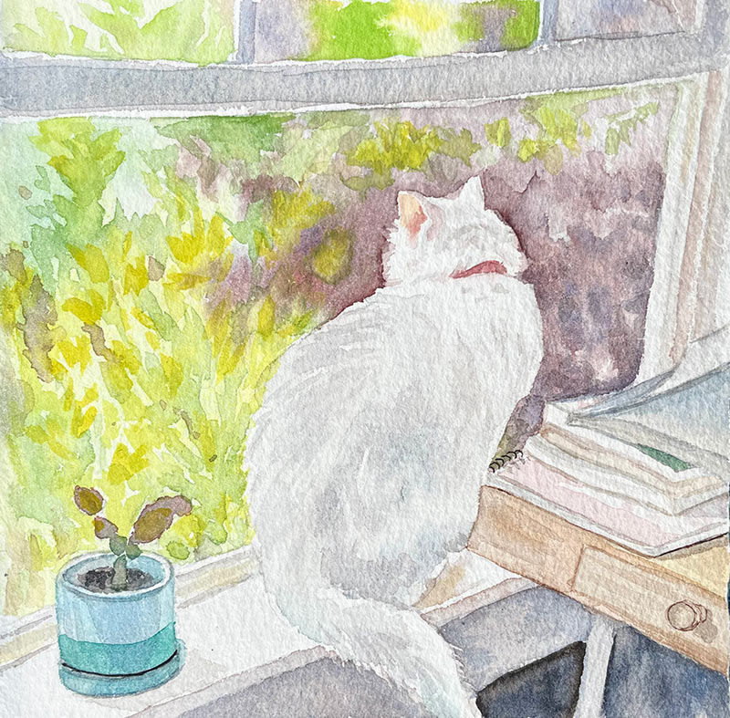 White Cat